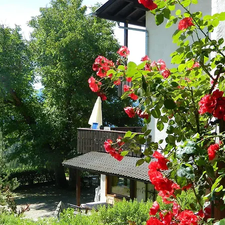 Hotel Ganzaie 3*